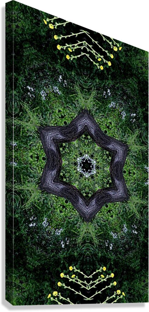 Digital Dark Star Canvas Print