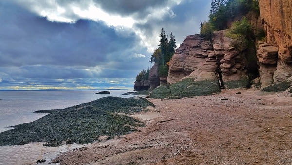 Hopewell Rocks Print