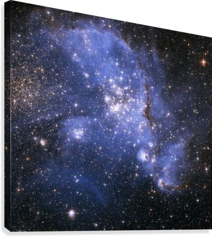 The Small Magellanic Cloud Canvas Print