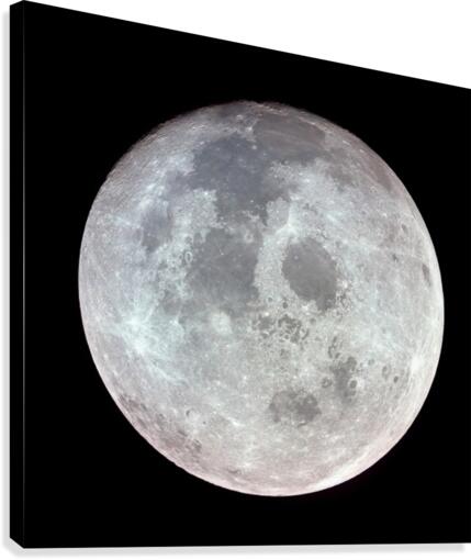 The Moon Canvas Print