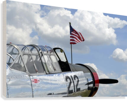 stk105442m Canvas Print