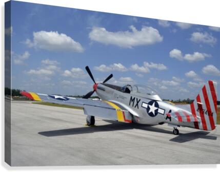 stk105462m Canvas Print