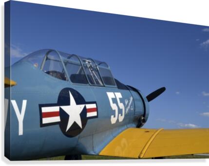 stk105456m Canvas Print