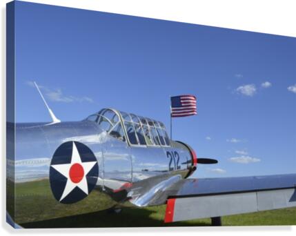 stk105463m Canvas Print