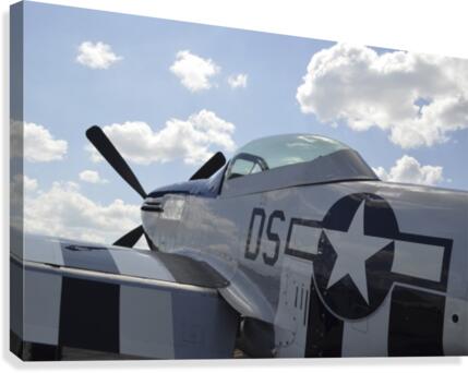 stk105464m Canvas Print