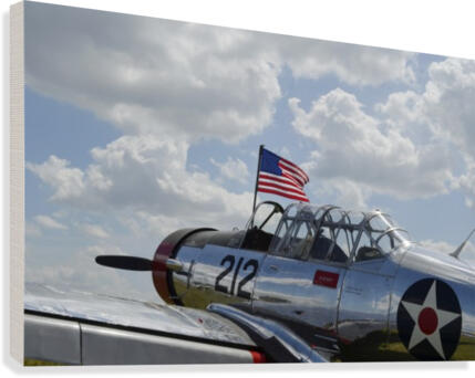 stk106309m Canvas Print