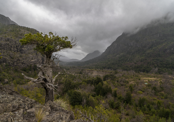 Reserva de Nuble by VOLCKMANNII