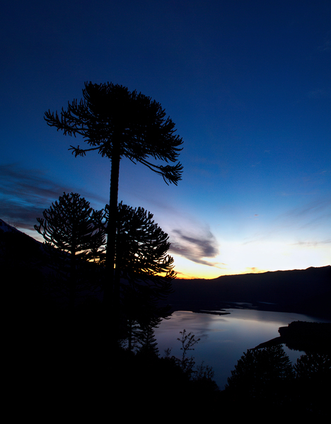 Conguillio by VOLCKMANNII