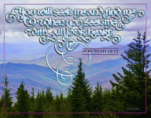 Jeremiah 29:13