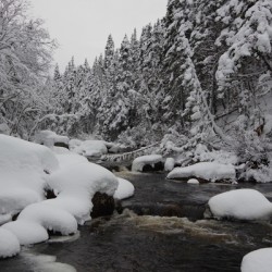 Fresh snow on Triple falls river