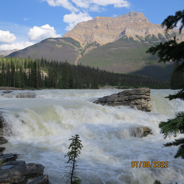 Athabasca Falls by jennifer sanders