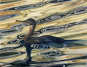 Cormorant Sunset