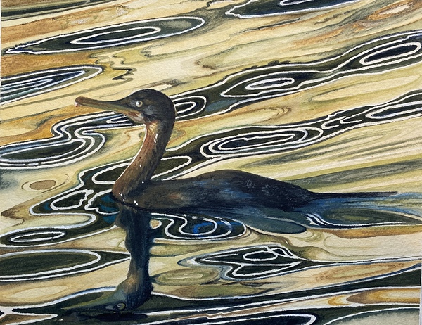 Cormorant Sunset by Kaz Artworks
