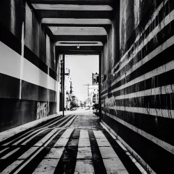 Hallways Of Uncertainty