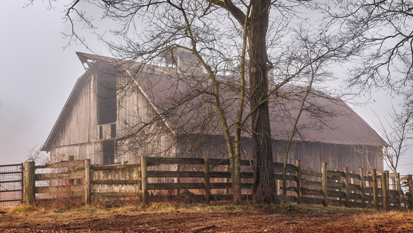 A7R00295 AnotherBarnPhoto by BillyVerden