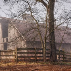 A7R00295 AnotherBarnPhoto
