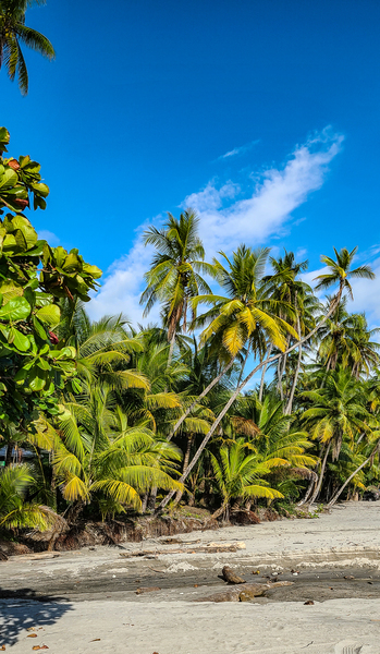 Costa Rica Vibe by adamantexperience