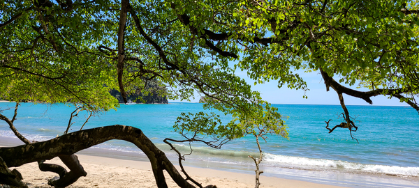 Sea Shade by adamantexperience