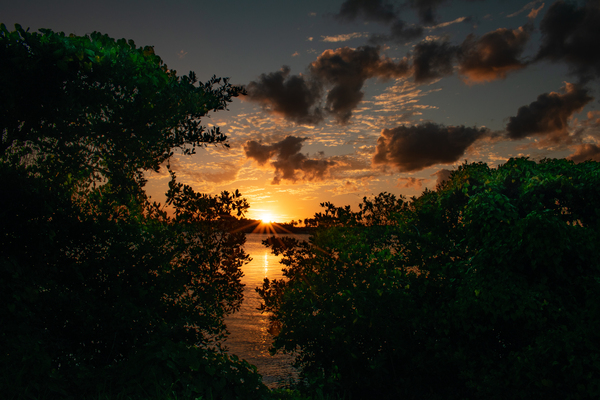 Between Two Ferns by adamantexperience