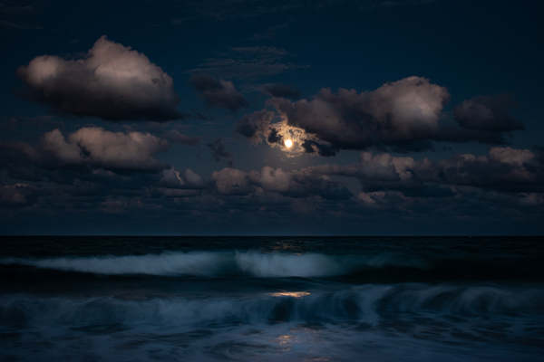 Bob Ross by adamantexperience