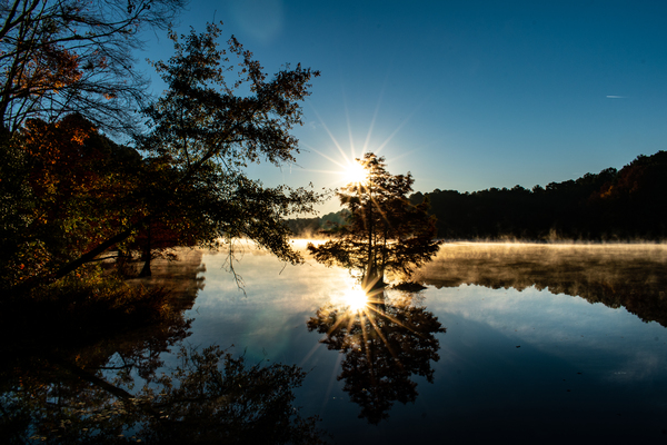 Reflections by adamantexperience