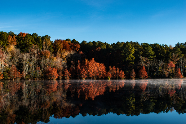 Mirror by adamantexperience