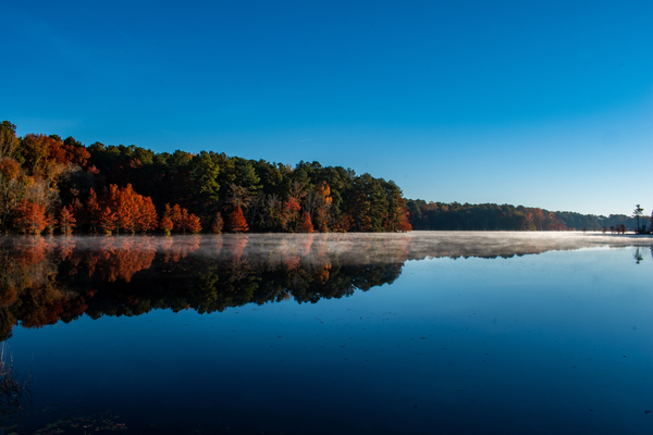 Misty Morning by adamantexperience