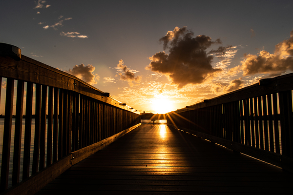 Sunset Pickets by adamantexperience