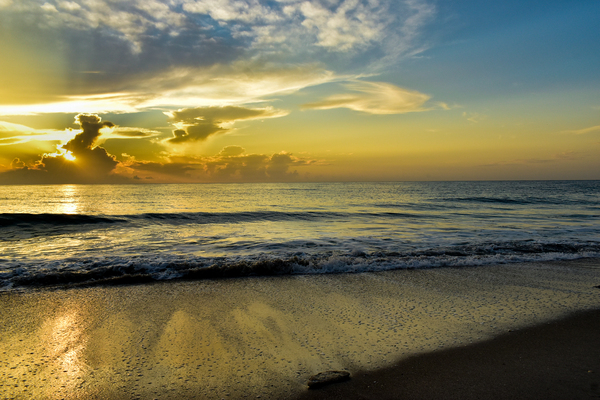 Yellow Cake by adamantexperience