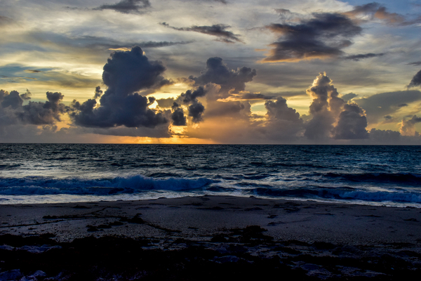 Morning Cupcake by adamantexperience