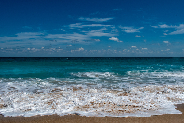 Sebastians Teal Rug  by adamantexperience