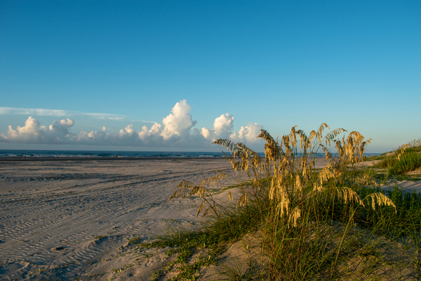 Grassland by adamantexperience