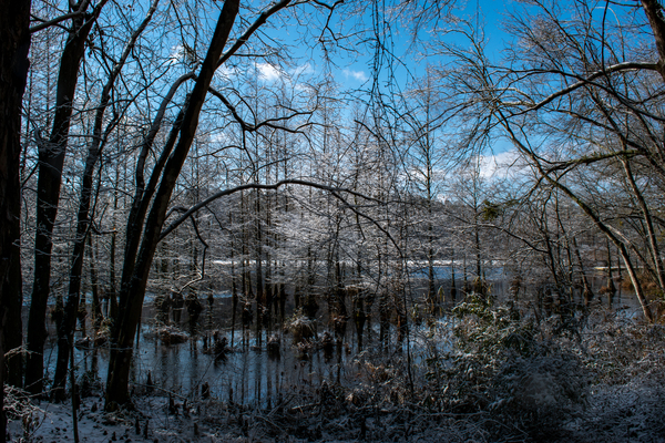 Calm Waters by adamantexperience