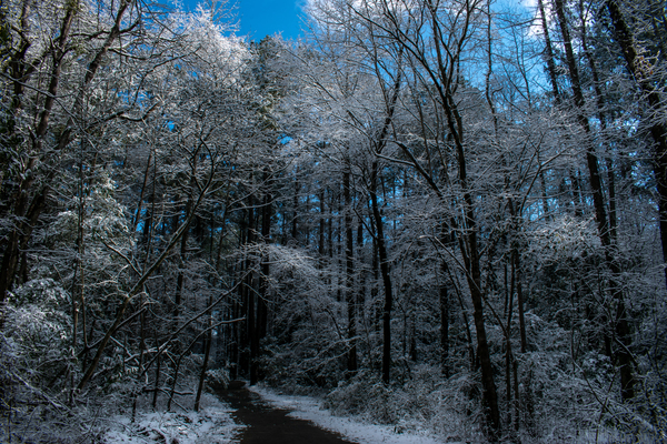 White Diamonds by adamantexperience