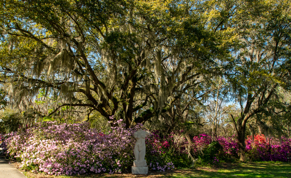 Femme De Fleur by adamantexperience