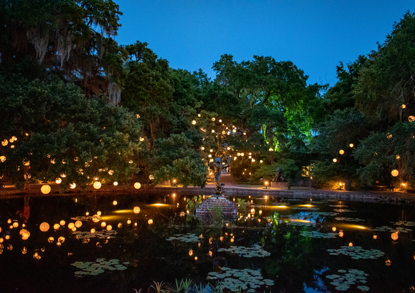 Fireflies by adamantexperience