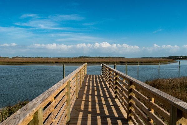 Marsh Mellow Land by adamantexperience
