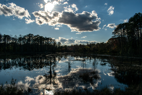 Reflection Pool by adamantexperience