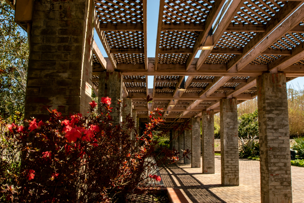 Tuscan Terrace by adamantexperience