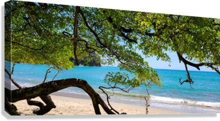 Sea Shade Canvas Print