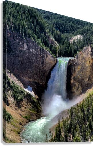 Yellowstone Canvas Print