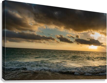 Sensory Confluence  Canvas Print