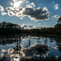 Reflection Pool