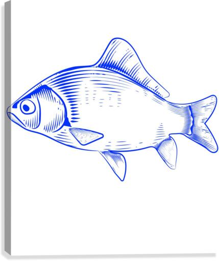 blue fish Canvas Print