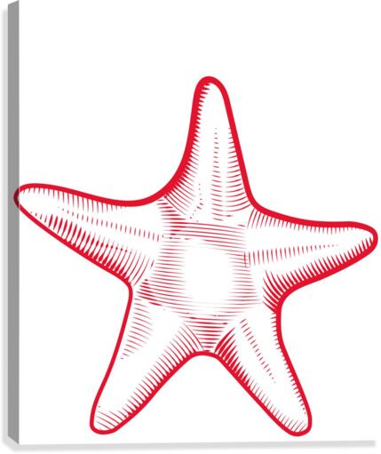 red starfish Canvas Print