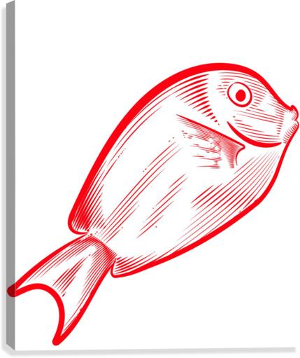 red snapper fish Canvas Print