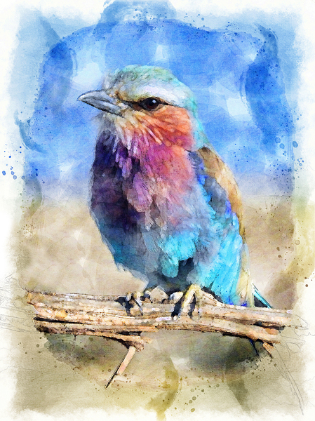 Watercolor Bird Print