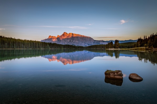 Two Jack Reflection Print