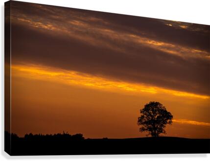 Distant Tree Canvas Print