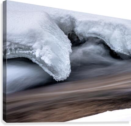 Icy Grip Canvas Print
